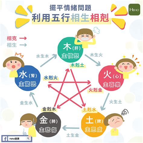 五行健康|中醫知識 